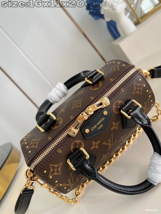 Speedy Vuitton 20 Louis Trunk 0124